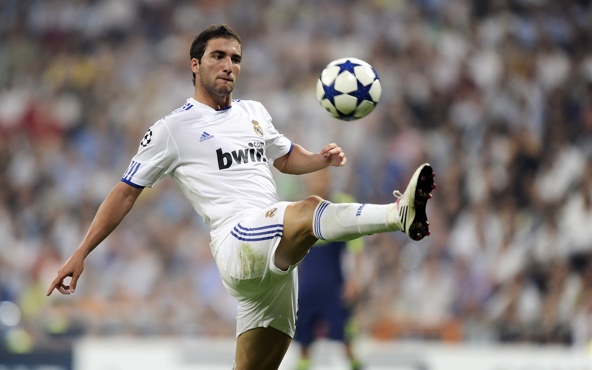 爆冷首场状态出色，西班牙队观众沸腾！，莱万多夫斯基重返赛场气势如虹延续